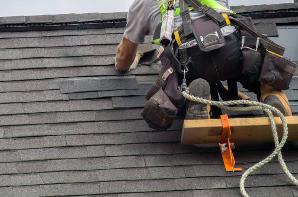 Roof Insulation Installation in Blountsville, AL