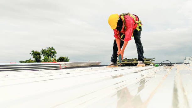 Best Roof Inspection  in Blountsville, AL